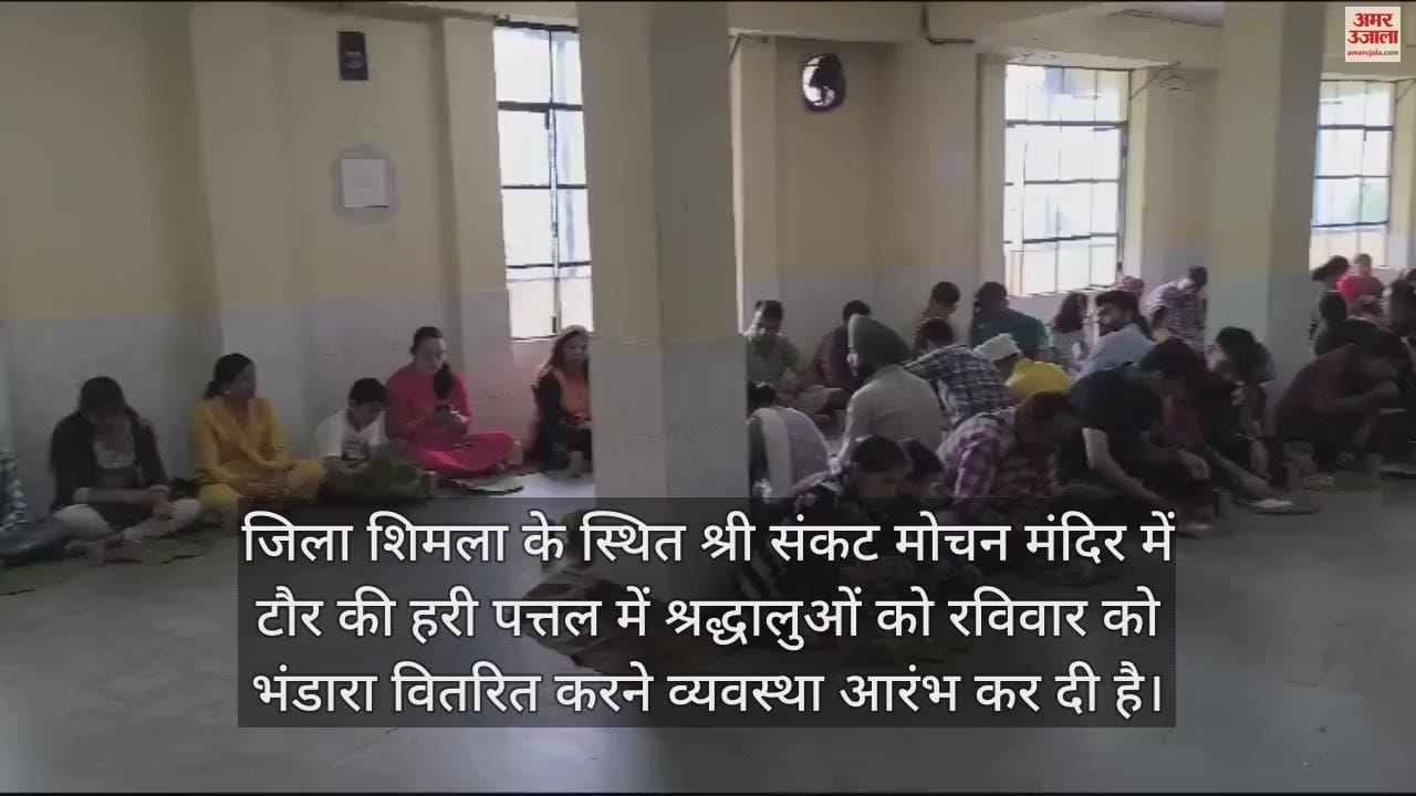 VIDEO : Bhandara started being served on plates of Taur in Sankat Mochan temple of Shimla