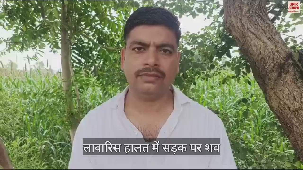 Dausa News: Dead body of a young man found abandoned on the road, police expressed suspicion of murder