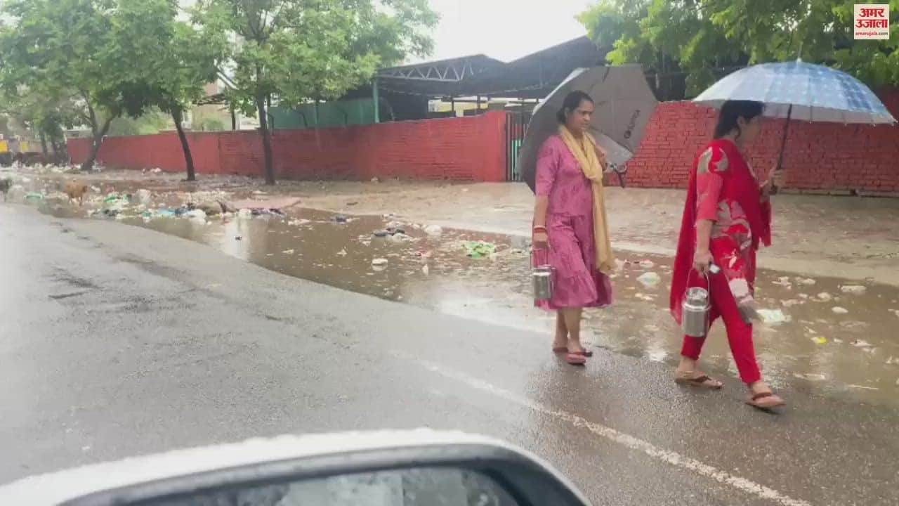 VIDEO : Rain in Mohali