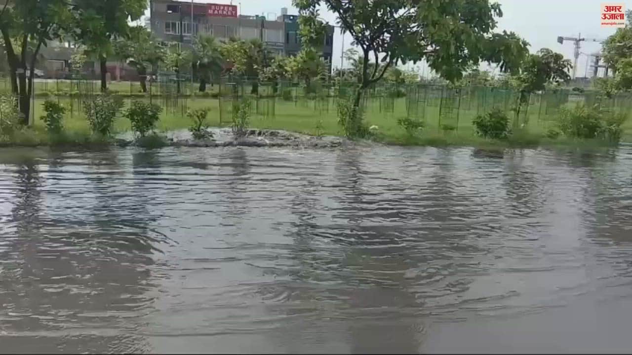 VIDEO : Sewerage overflows in Mohali, dirty water filling the road
