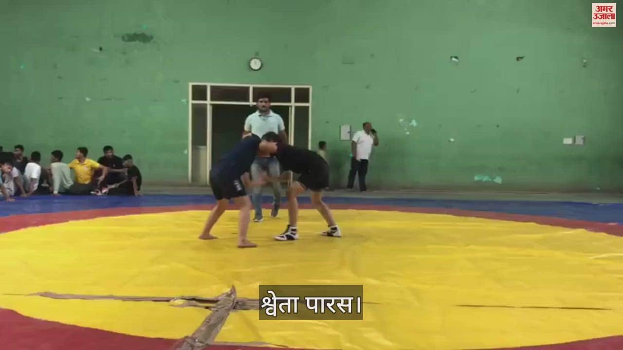 VIDEO : पहलवानी का जुनून, परिवार नहीं चाहता था बेटी बने पहलवान...10 महीने में जीते 10 मेडल