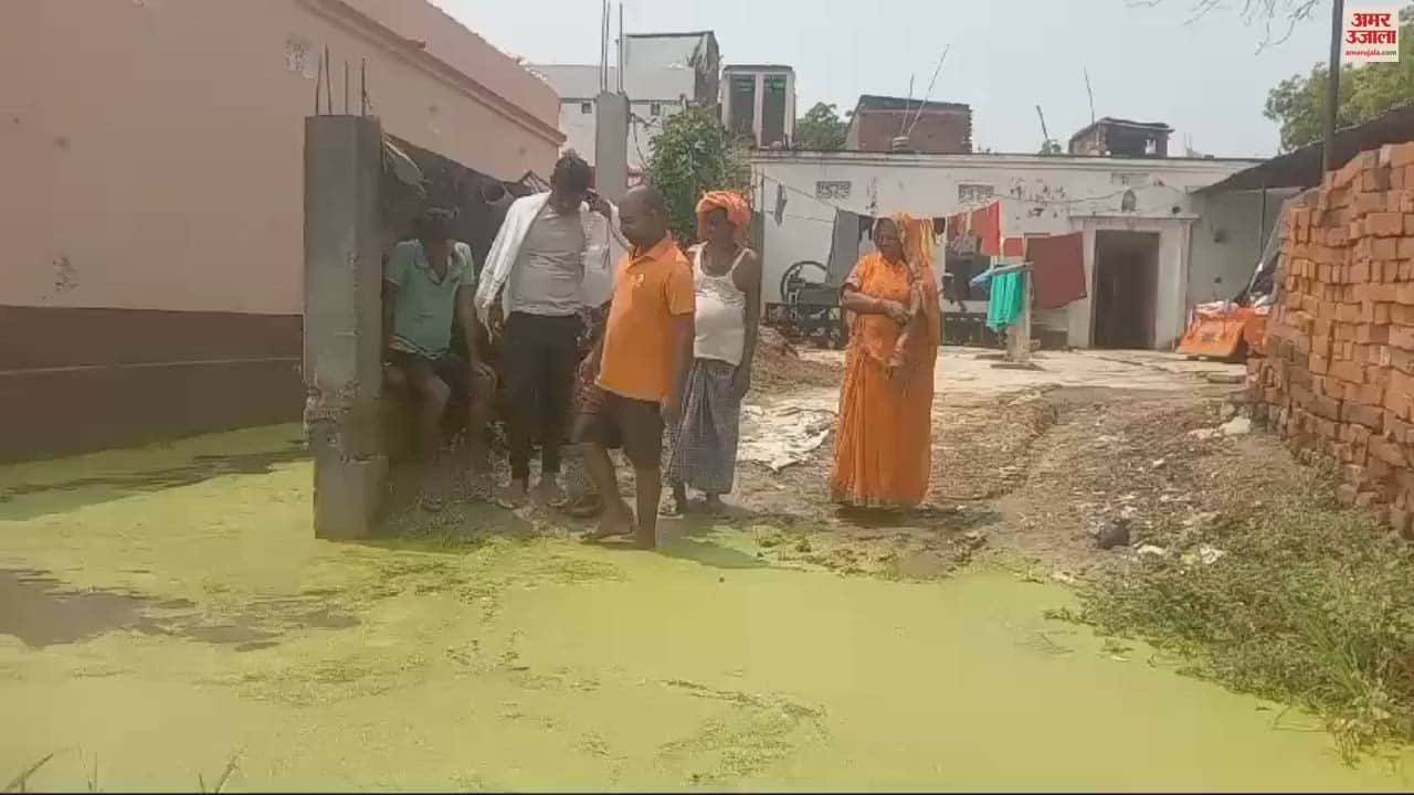 VIDEO : Village surrounded dirty water in chandauli problems increased in Khuchma village of Sakaldiha