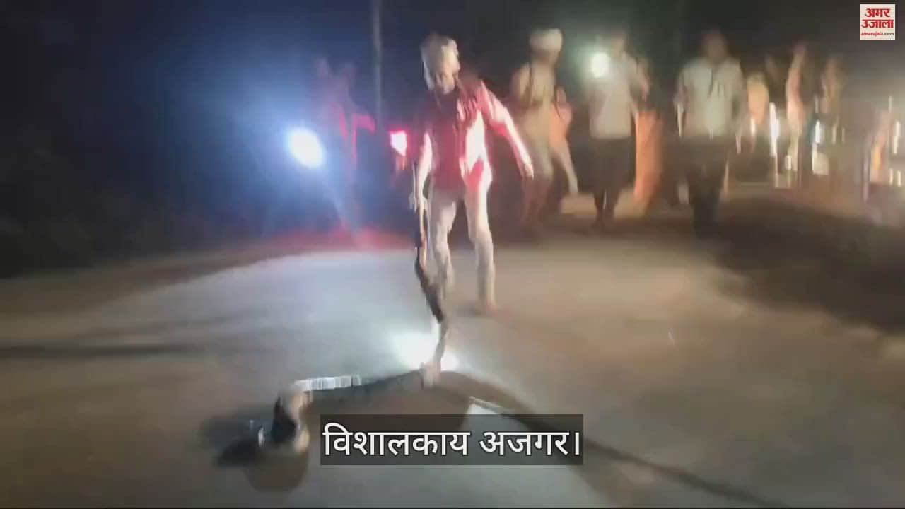 VIDEO : विशालकाय अजगर से बीच सड़क पर ग्रामीण खेलते रहे ऐसा खेल...वीडियो देख रह जाएंगे हैरान