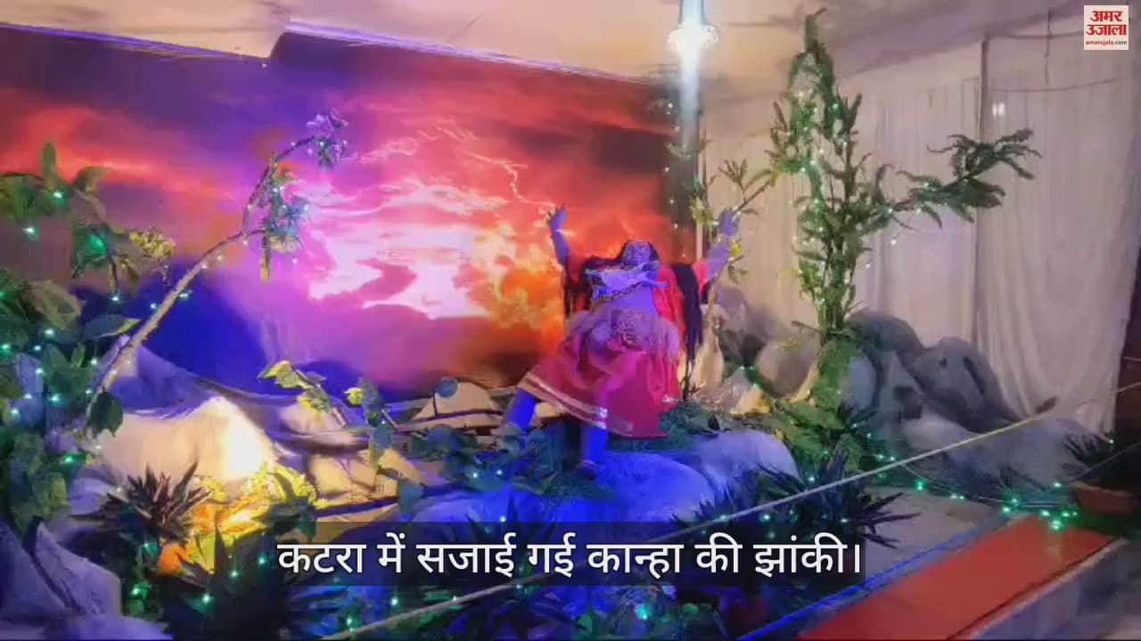 VIDEO : Tableau decorated on Kanha Chhathi, devotees danced
