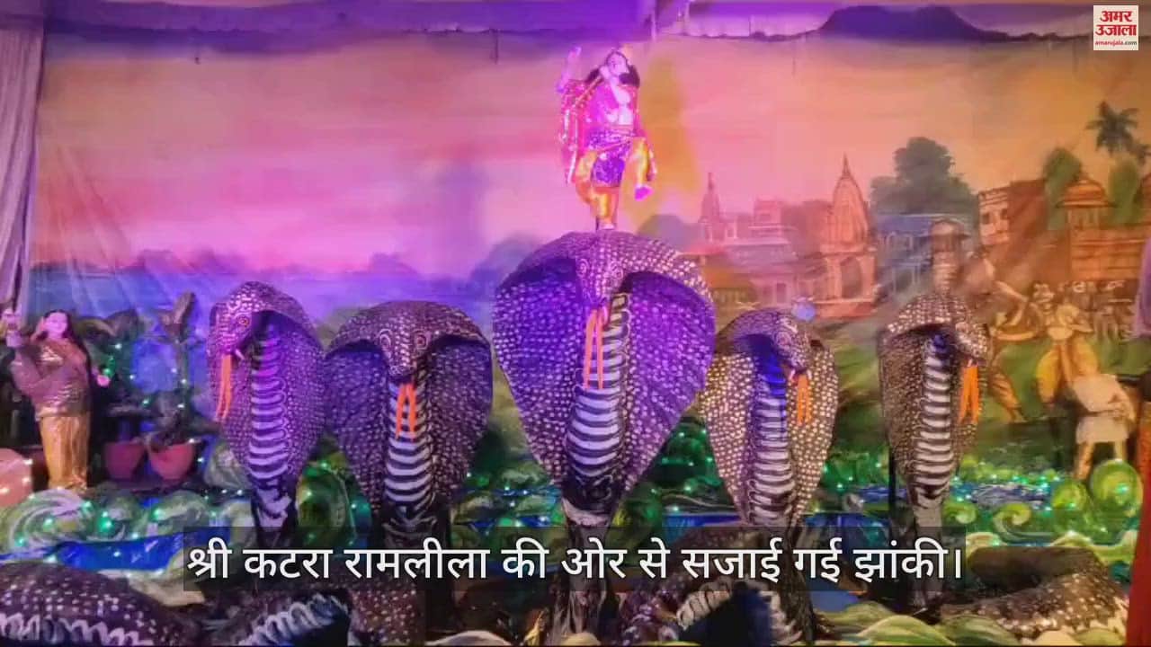 VIDEO : भगवान श्रीकृष्ण की लीला देखकर भाव विभोर हुए भक्त, सजाई गई मनोहर झांकी
