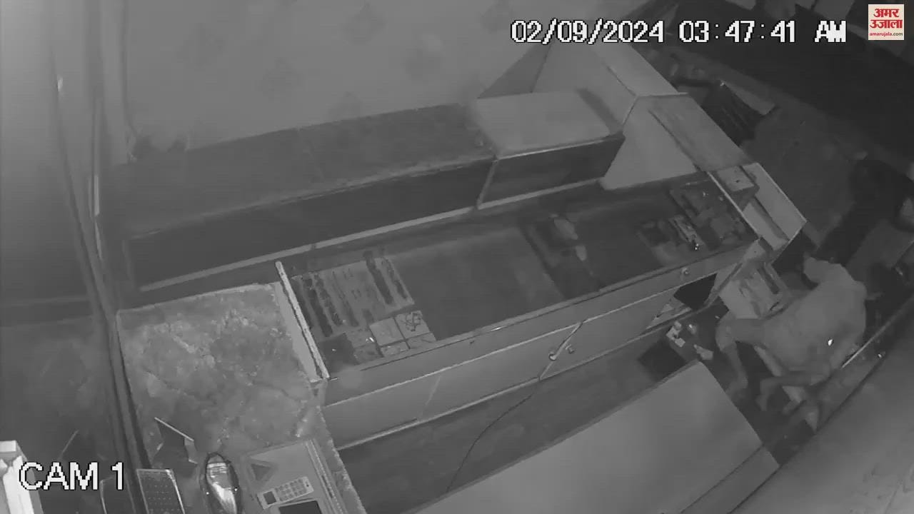 VIDEO : Theft At Goldsmith Shop In Ambala