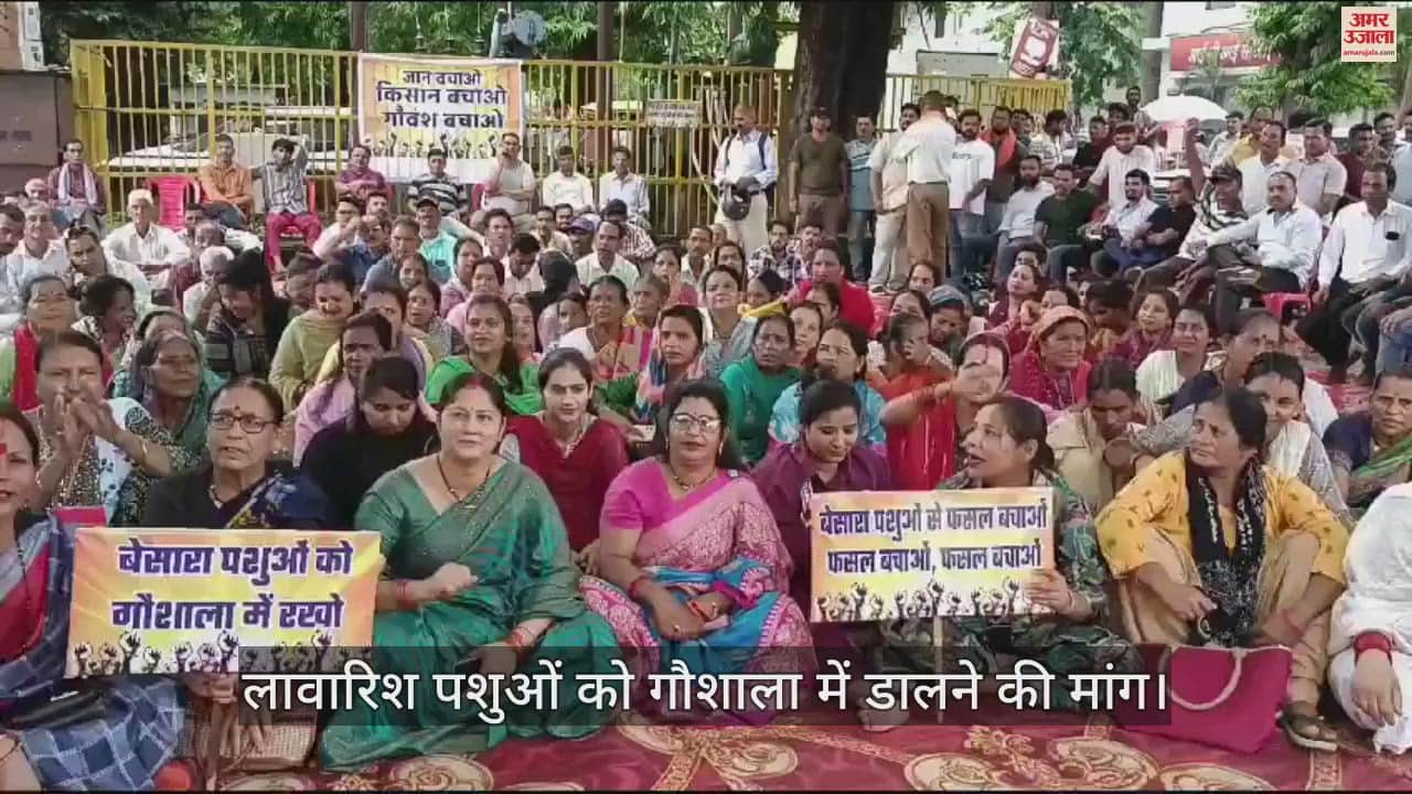 VIDEO : लावारिश पशुओं को गौशाला में डालने की मांग, गौलापार के ग्रामीणों ने हल्द्वानी में किया प्रदर्शन