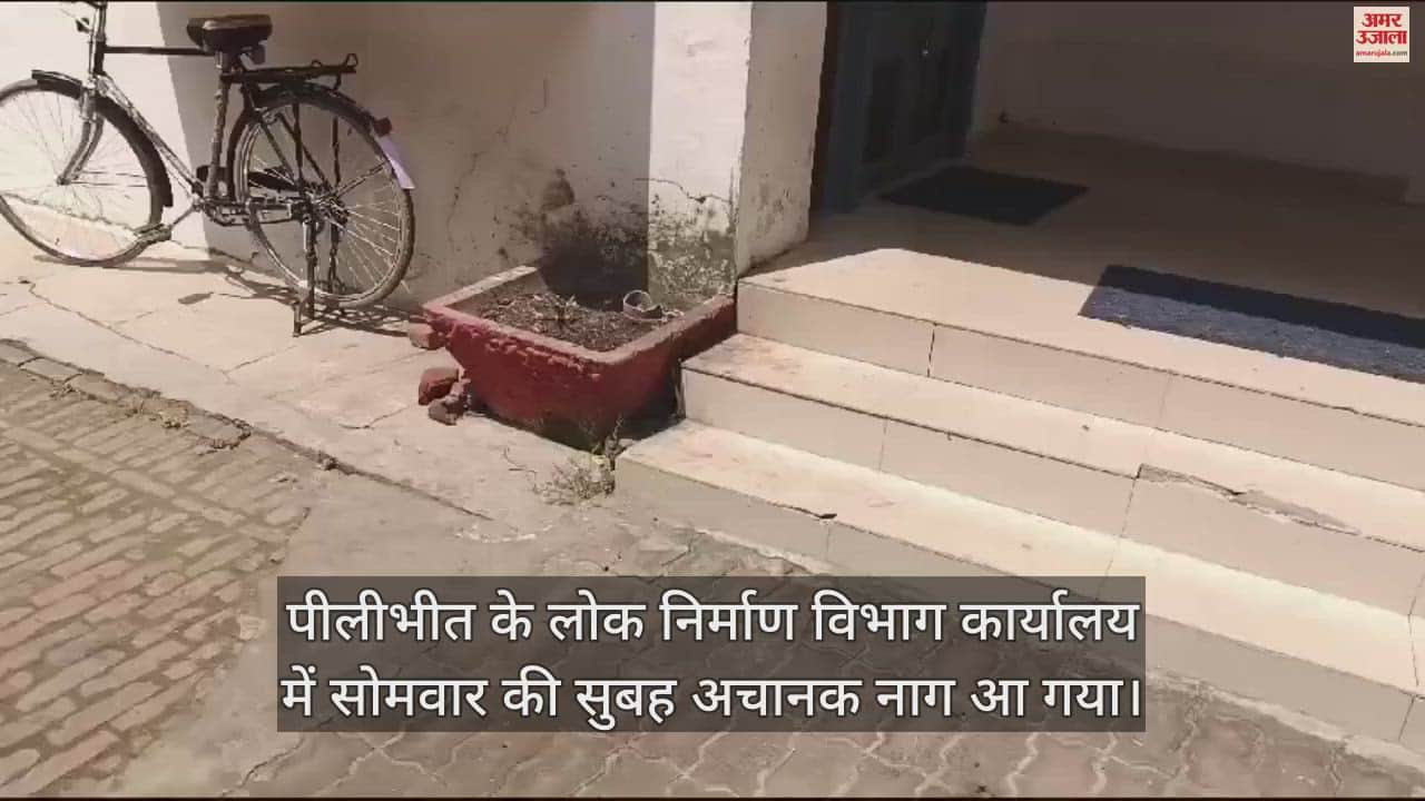 VIDEO : पीलीभीत के पीडब्ल्यूडी कार्यालय में निकला नाग, अफसरों-कर्मचारियों में मची खलबली