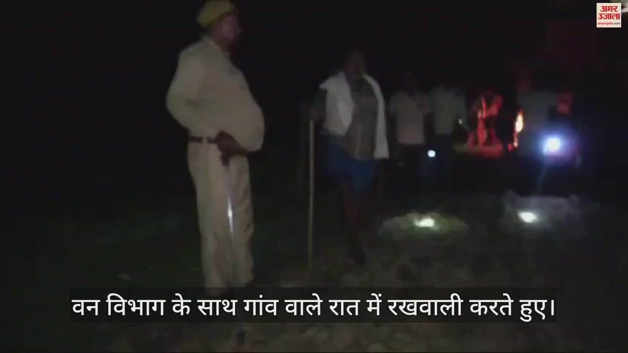 VIDEO : In Maharajganj, dreaded leopard has deprived villagers sleep,villagers are guarding themselves with sticks.