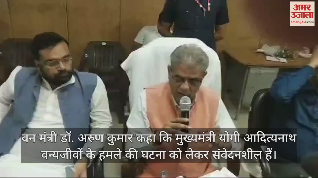 VIDEO : वन मंत्री ने कहा- जंगल में जलभराव व बाघों की संख्या बढ़ने से बाहर निकल रहे वन्यजीव