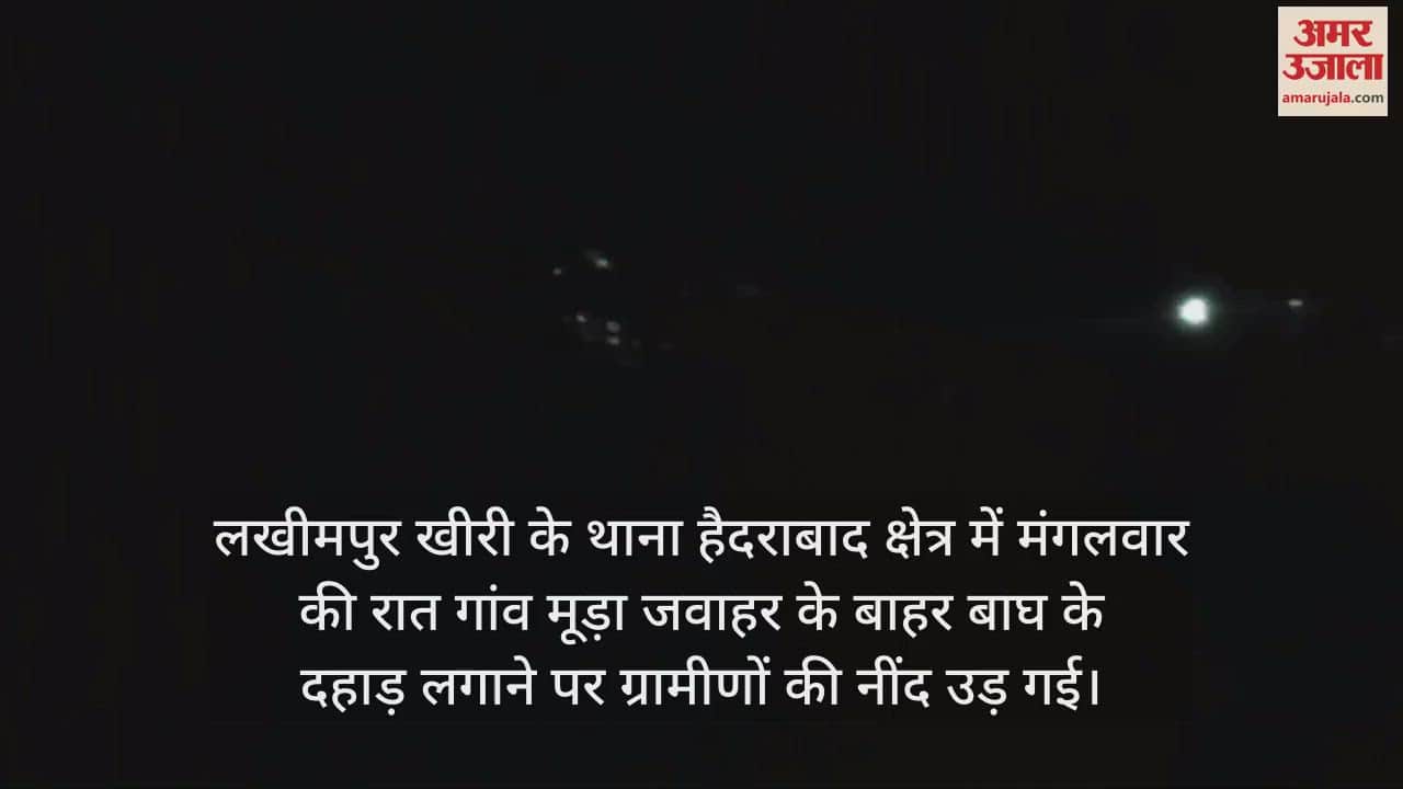 VIDEO : लखीमपुर खीरी के इस इलाके में बाघ की दहाड़ ने उड़ाई लोगों की नींद
