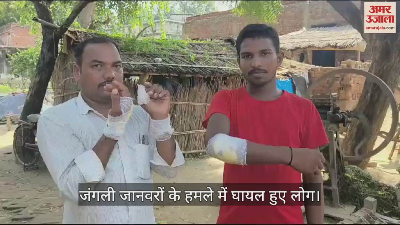 VIDEO : wild animals entered village in Bhadohi seven people injured in attack