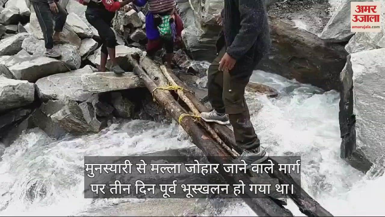 VIDEO : मुनस्यारी में जान हथेली पर रखकर लकड़ी के लट्ठों के सहारे नदी पार कर रहे लोग