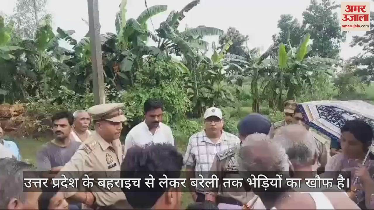 VIDEO : बरेली के फतेहगंज पूर्वी में भेड़िये का खौफ, किशोर समेत चार लोगों पर किया हमला