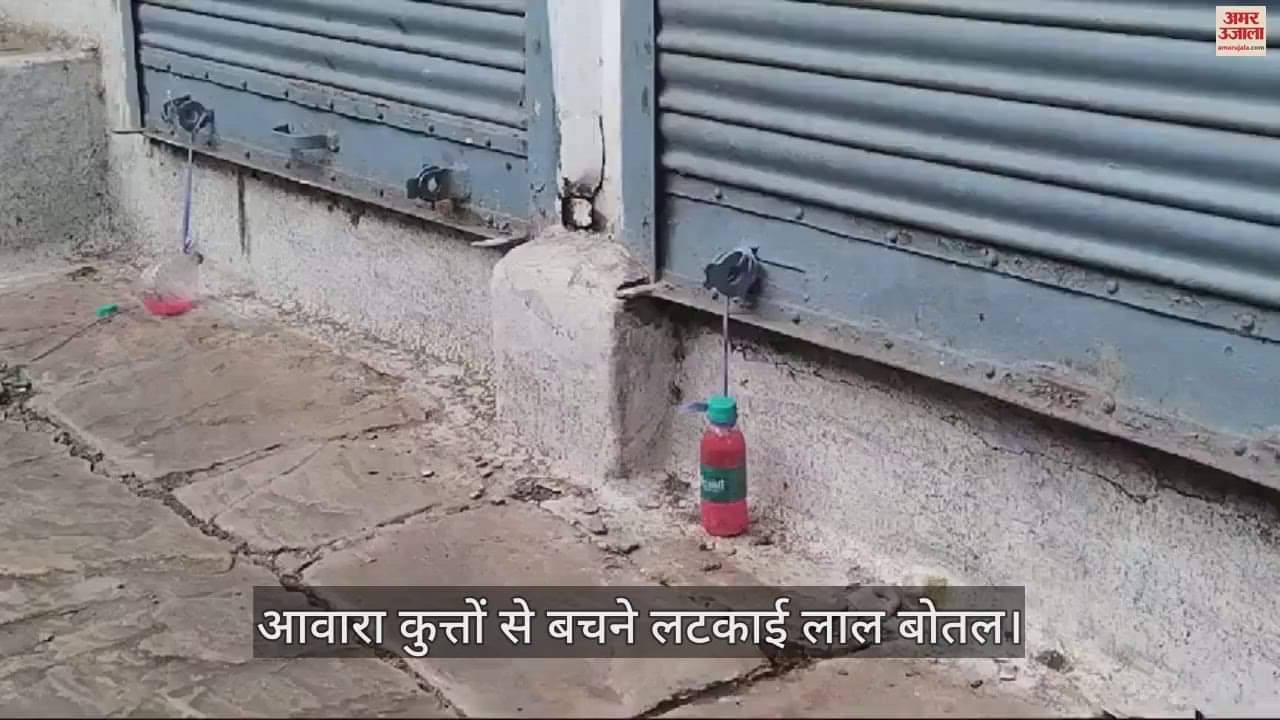 Strange way to avoid stray dogs People are hanging red bottles in front of the house