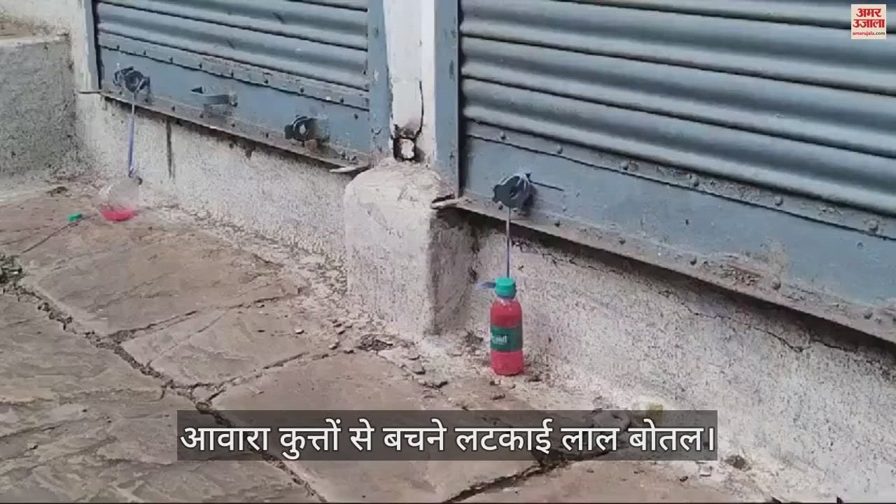 Strange way to avoid stray dogs People are hanging red bottles in front of the house