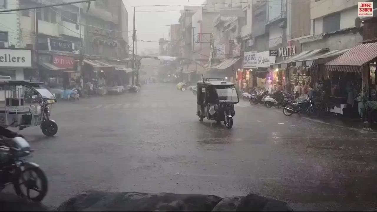 VIDEO : Punjab Mausam Update rain in ludhiana
