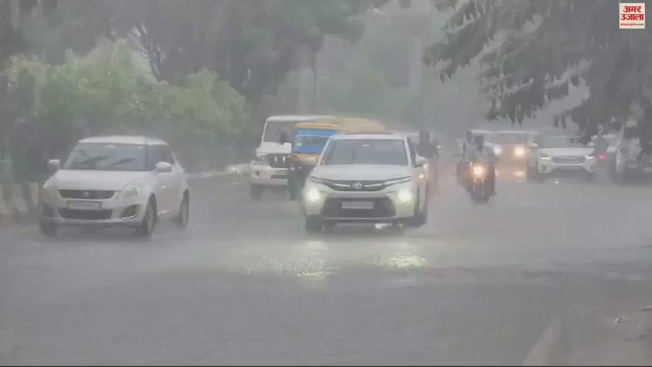 VIDEO : Rain in Jalandhar
