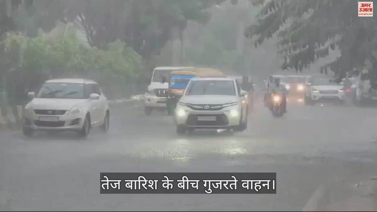 VIDEO : जालंधर में दिन में हुई रात, तेज बारिश के बीच लाइटें जलाकर गुजरे वाहन चालक