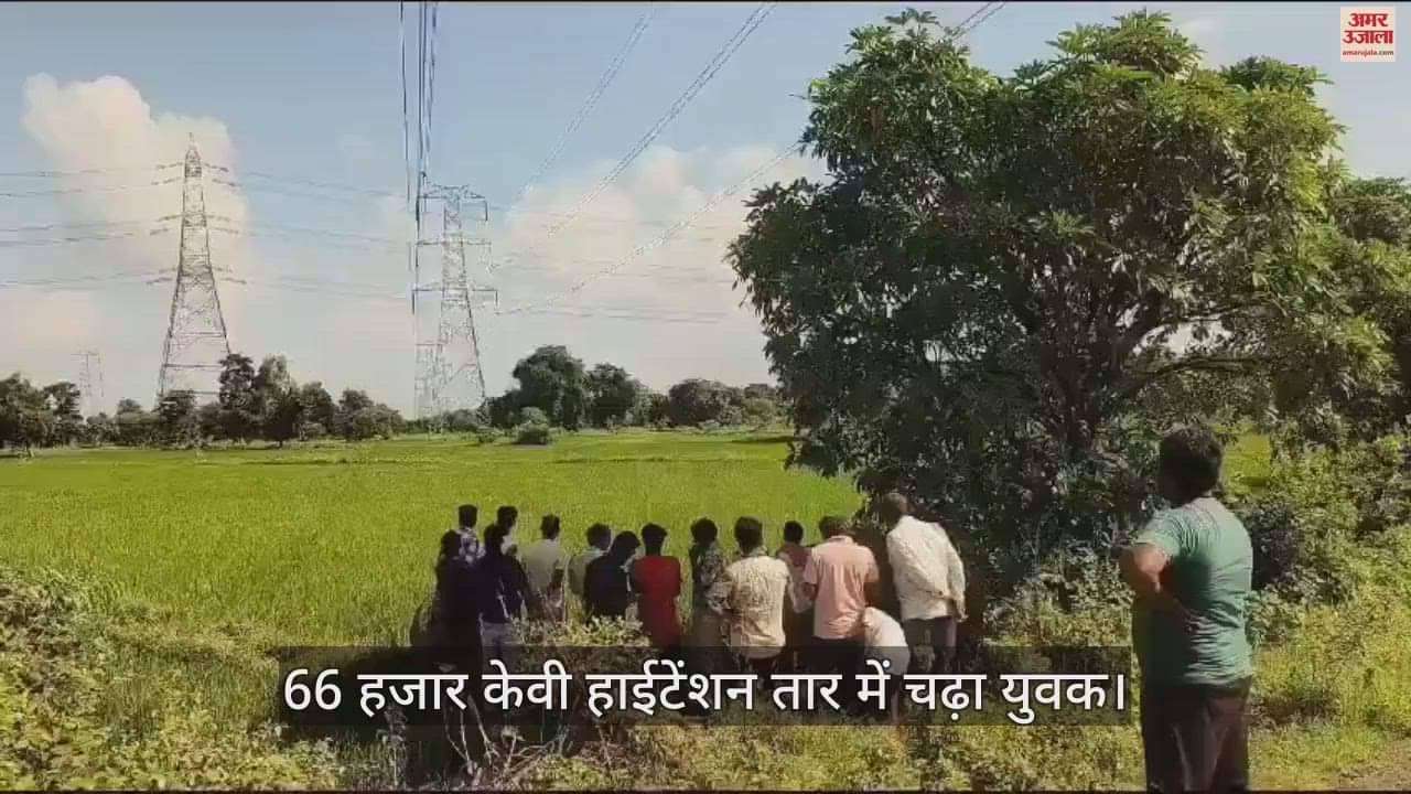 VIDEO : जांजगीर चांपा में 66 हजार केवी हाई टेंशन तार में बैठा मानसिक तौर पर कमजोर युवक, नीचे उतरने का प्रयास जारी
