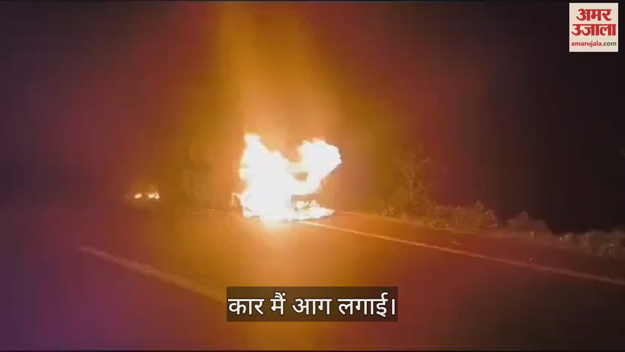 Cows sitting on the road were hit by a car Angry people set the car on fire