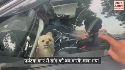 VIDEO : आगरा में पर्यटक कार में डॉग को बंद करके चला गया; वह बेचारा घंटों भौंकता रहा