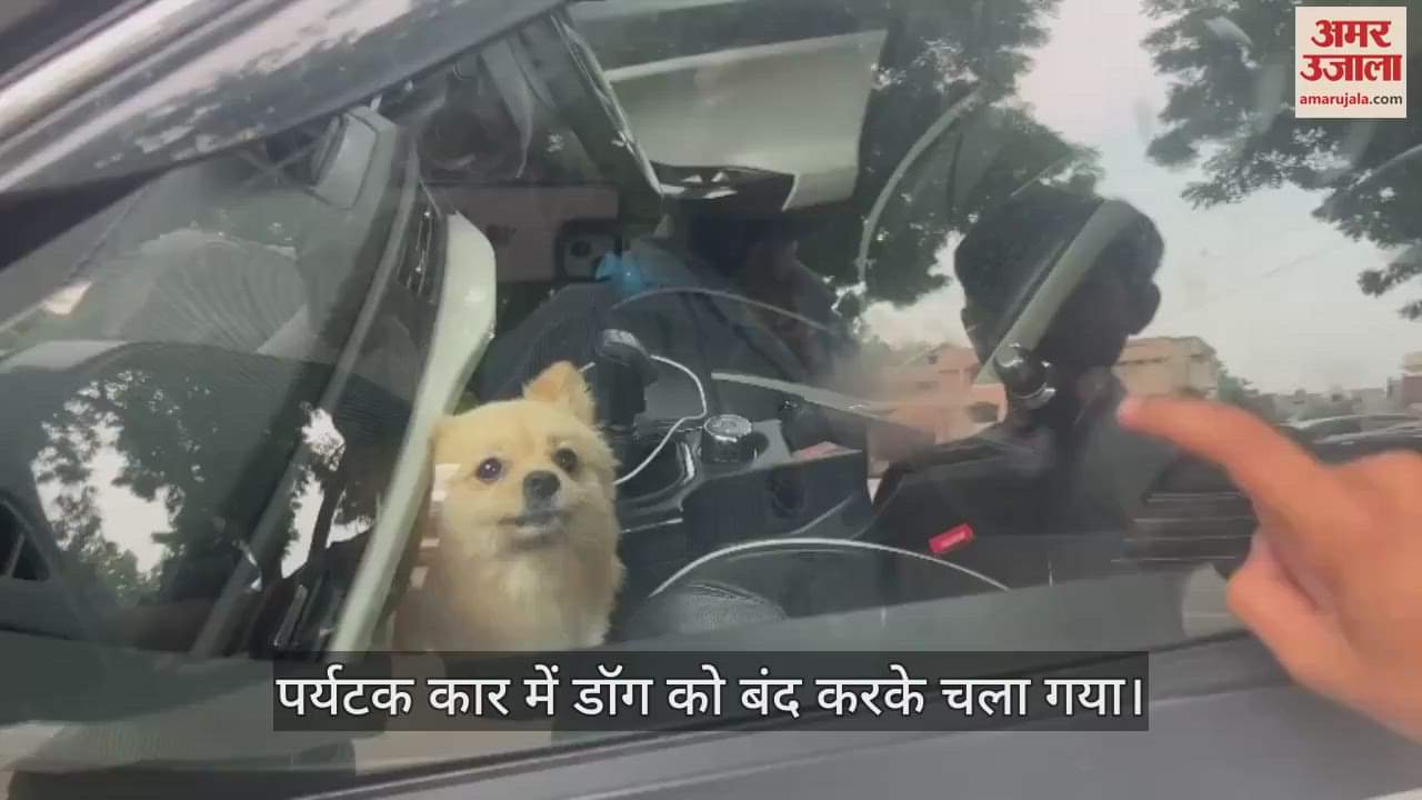 VIDEO : आगरा में पर्यटक कार में डॉग को बंद करके चला गया; वह बेचारा घंटों भौंकता रहा