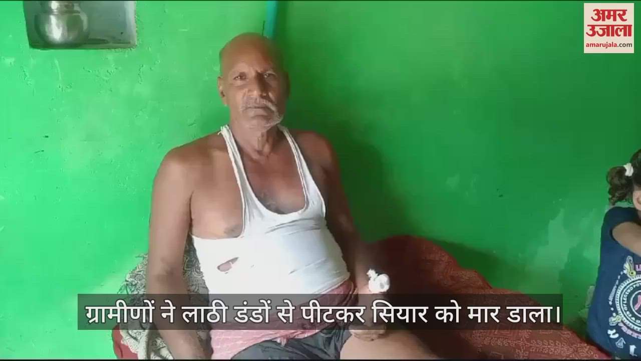 VIDEO : हमीरपुर में घर के बाहर दो लोगों पर जंगली सियार ने किया हमला, घायल