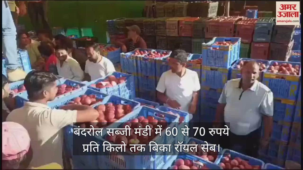 VIDEO : Royal apple sold at 60 to 70 rupees per kg in Bandrol vegetable market of Kullu