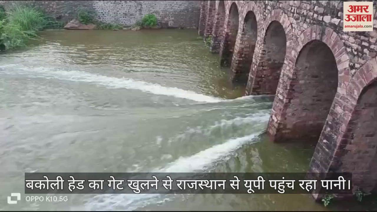 VIDEO : फतेहपुर सीकरी में बकोली हेड का गेट खुला, राजस्थान से यूपी पहुंच रहा पानी