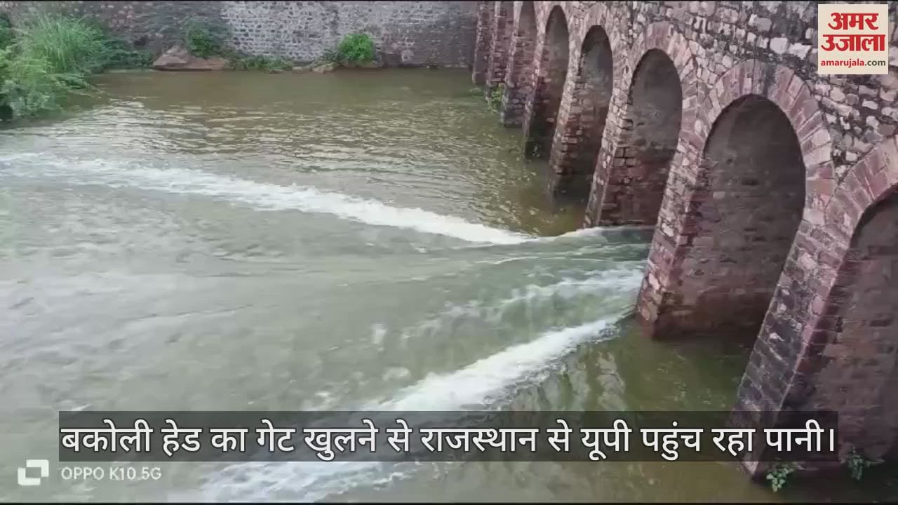 VIDEO : फतेहपुर सीकरी में बकोली हेड का गेट खुला, राजस्थान से यूपी पहुंच रहा पानी