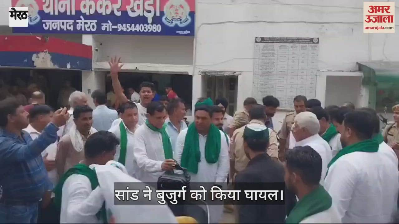 VIDEO : In Meerut, a bull threw an old man in the air, hit him so hard that his intestines came out
