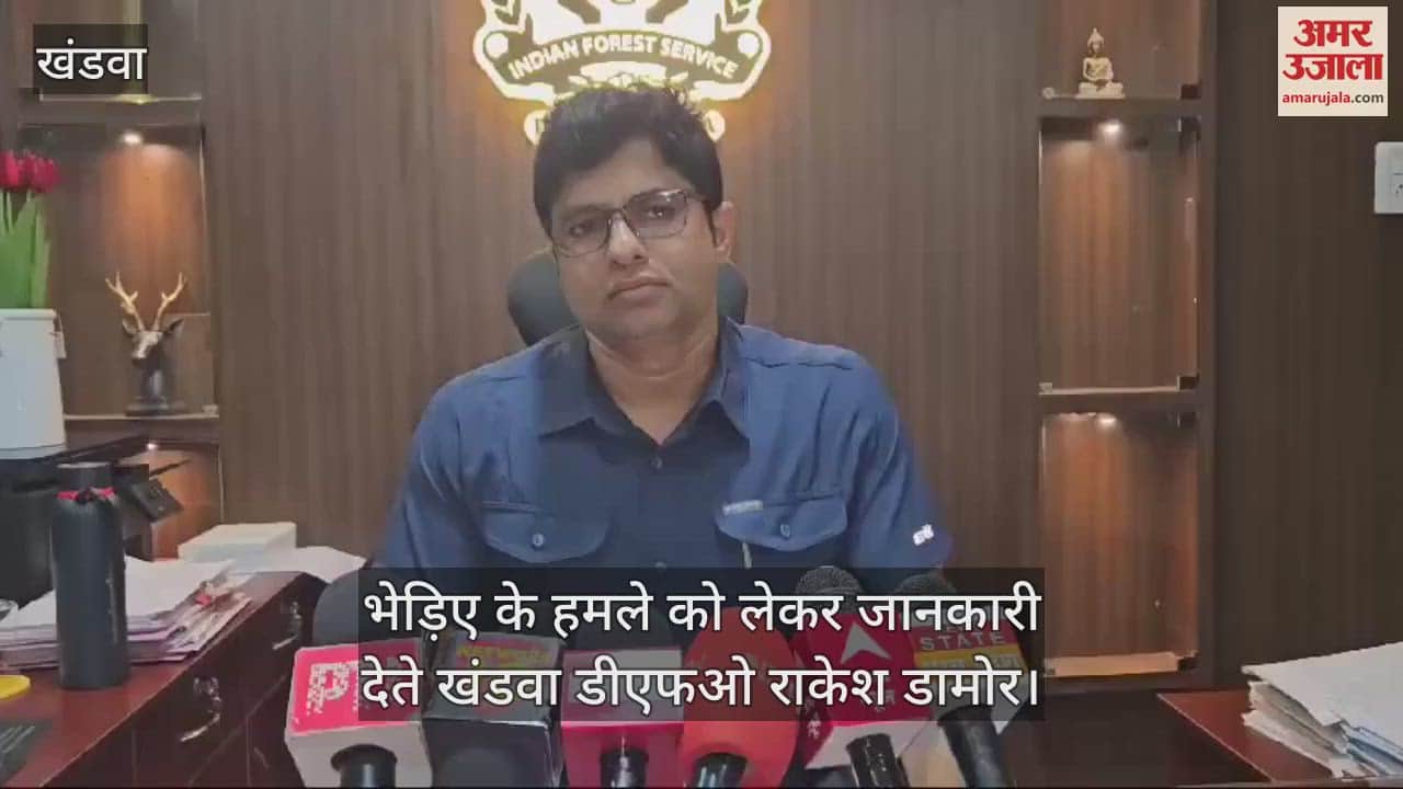 Khandwa News: A wolf attacked five sleeping people in Malgaon, Khandwa