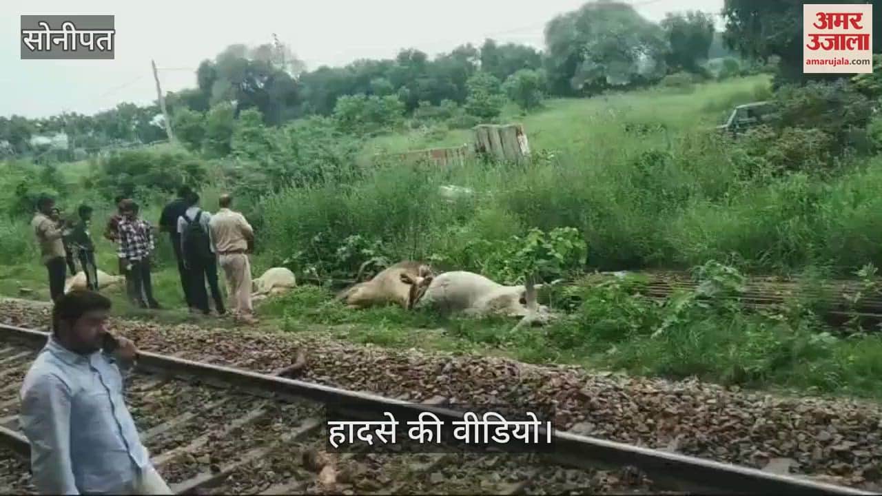 VIDEO : सोनीपत में शताब्दी एक्सप्रेस की चपेट में आए 7 गोवंशों की मौत, 4 घायल
