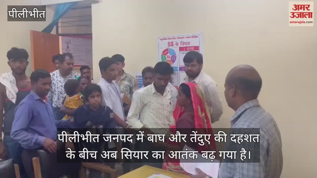VIDEO : पीलीभीत के जहानाबाद में सियार ने फैलाई दहशत, आठ ग्रामीणों को किया घायल