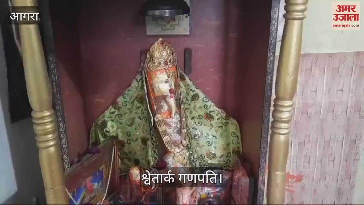 VIDEO : सफेद आक की जड़ से प्रकट हुई गणेश प्रतिमा, अब बन रहा विशाल मंदिर