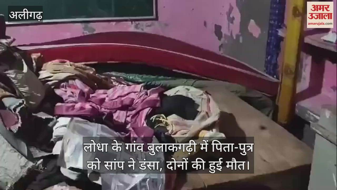 VIDEO : लोधा के गांव बुलाकगढ़ी में पिता-पुत्र को सांप ने डंसा, दोनों की हुई मौत