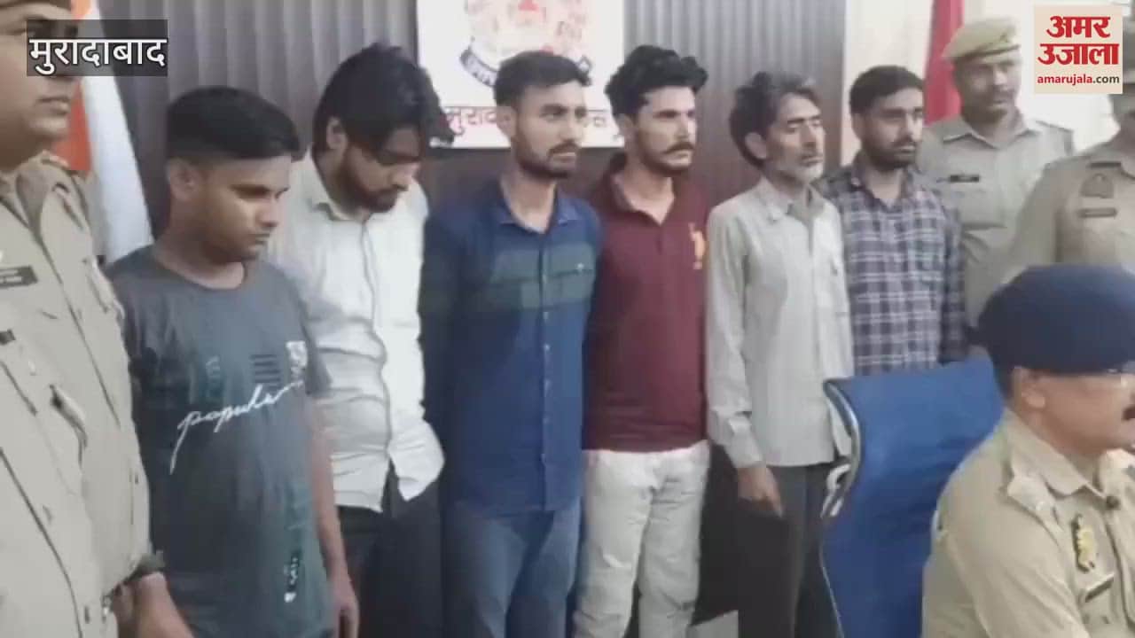 VIDEO : BSc student was running a gang, Moradabad police recovered weapons and arrested six