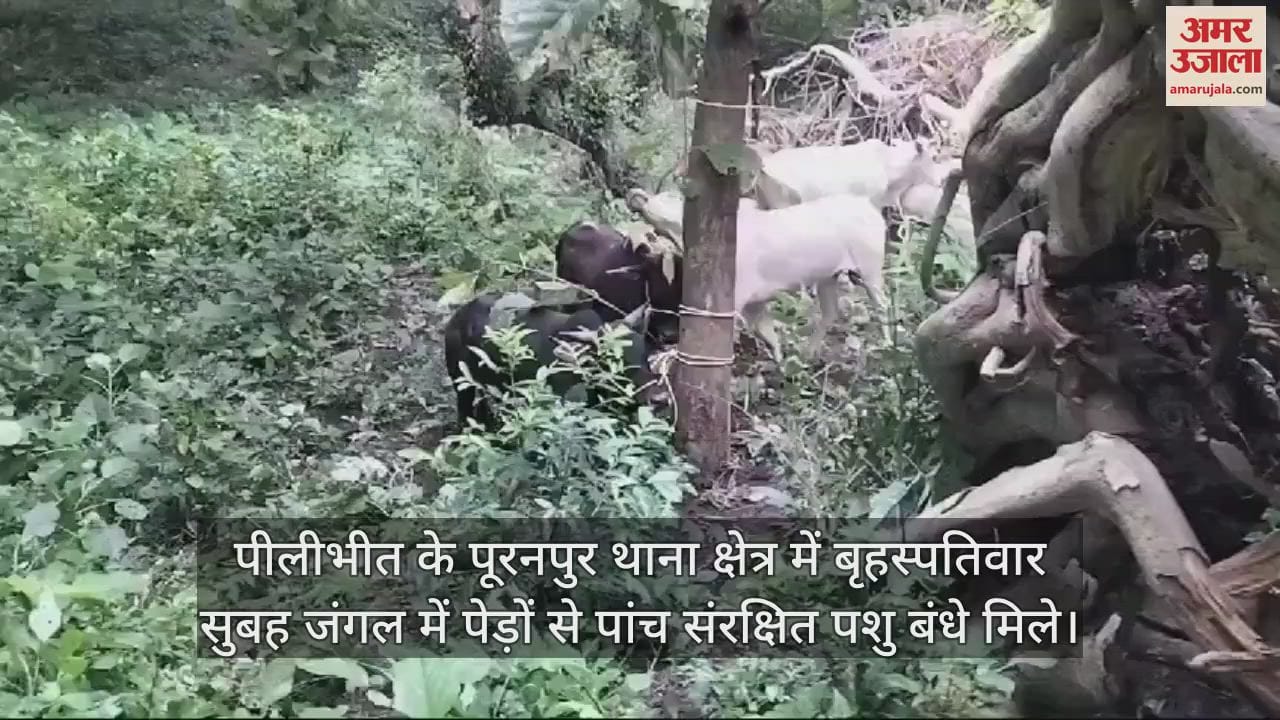पेड़ों से बंधे मिले छुट्टा पशु