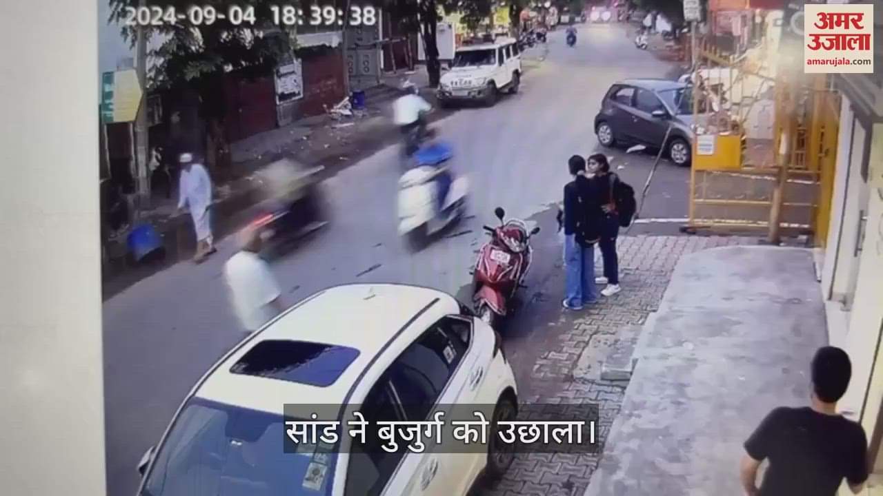 VIDEO : सांड ने बुजुर्ग के पेट में सींग मारकर उछाला, आंतें आईं बाहर, देखें वीडियो
