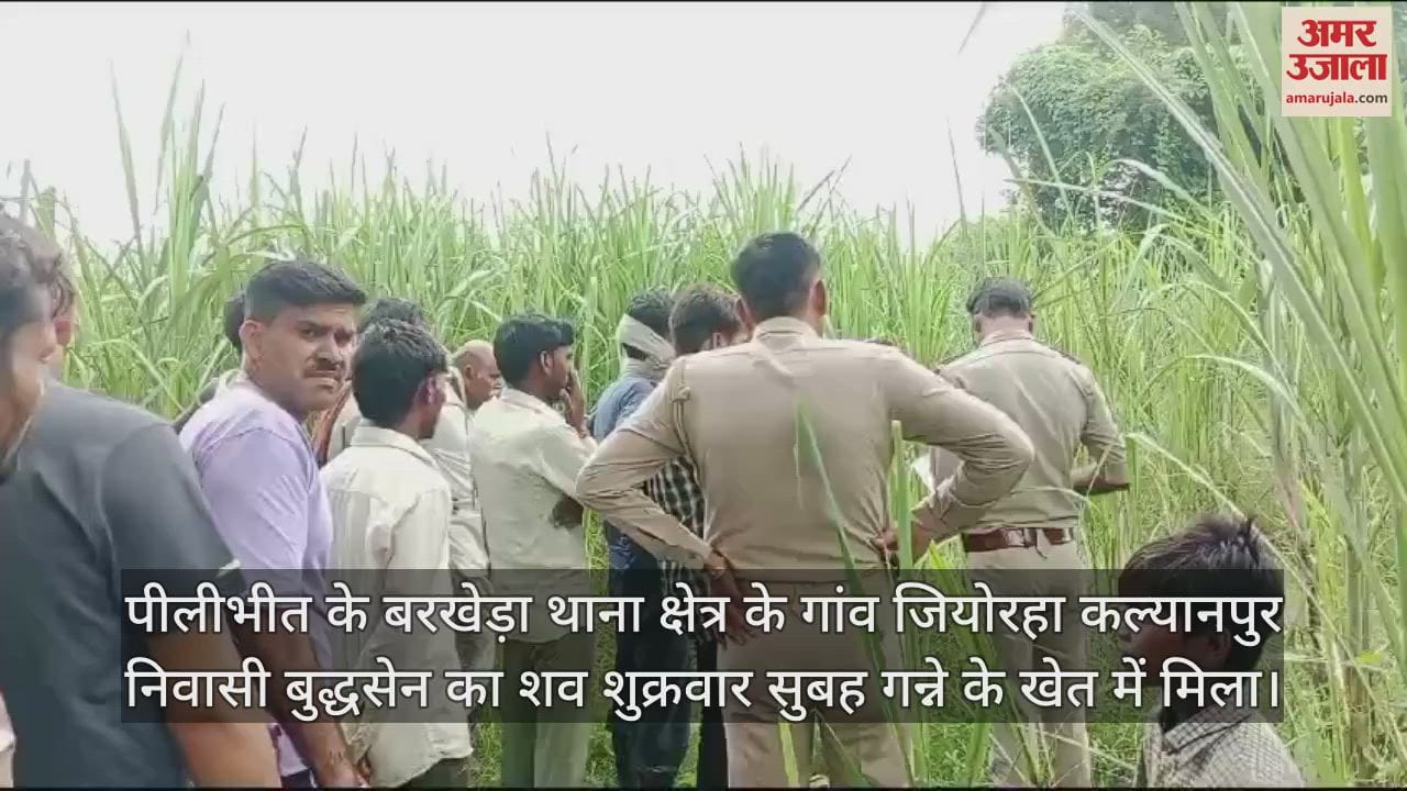 VIDEO : पीलीभीत के बरखेड़ा में युवक का शव मिलने से सनसनी, हत्या की आशंका