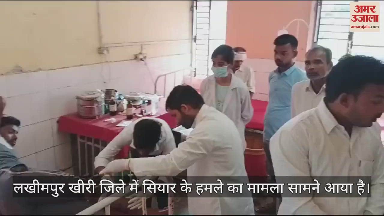 VIDEO : लखीमपुर खीरी में वन्यजीवों का आतंक, सियार के हमले में चाचा-भतीजा घायल