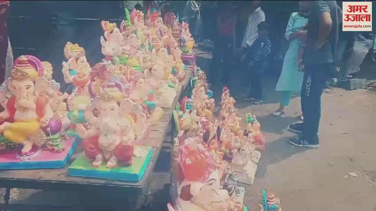 VIDEO : Markets Decorated For Ganesh Utsav In Ludhiana