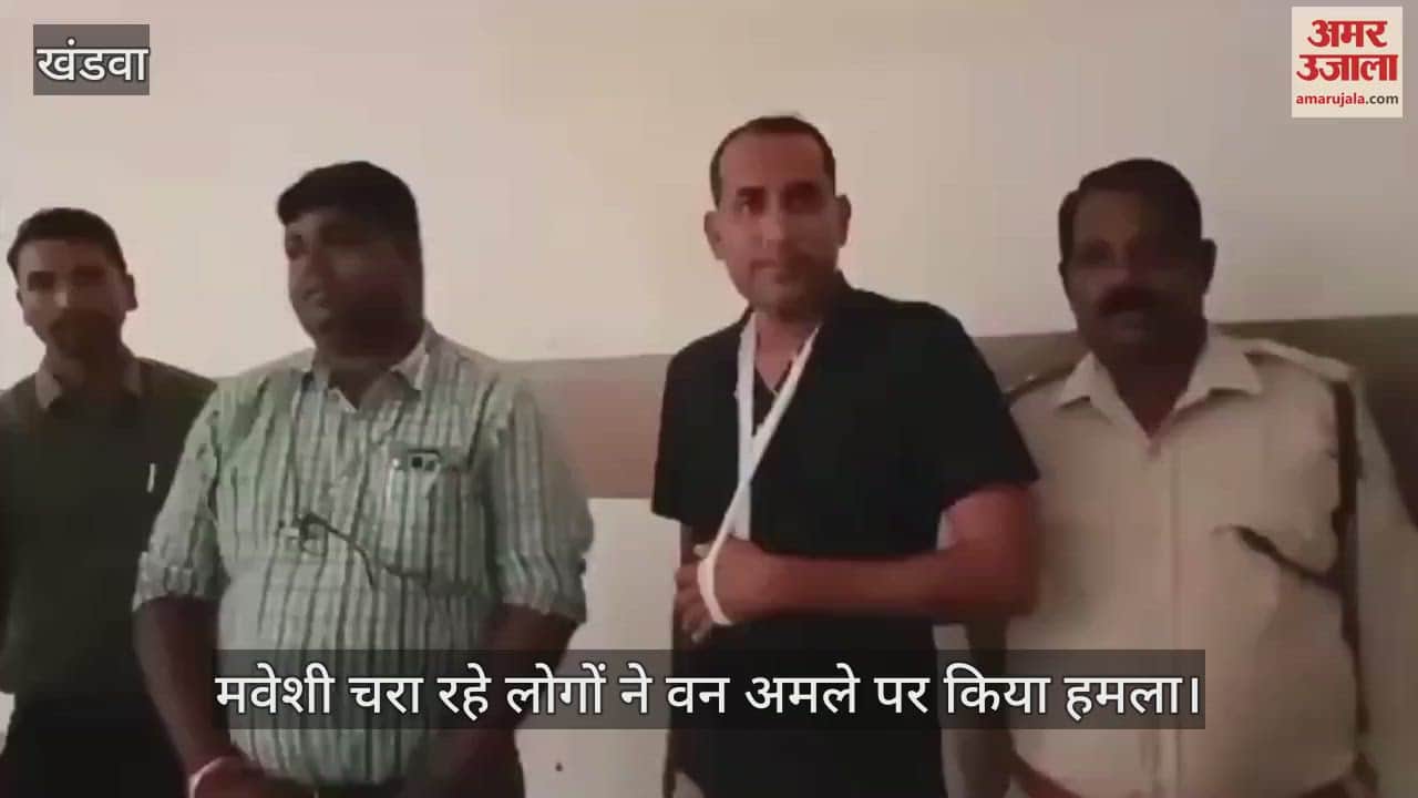 Burhanpur: People grazing cattle on plantation land attacked forest staff who went to stop them