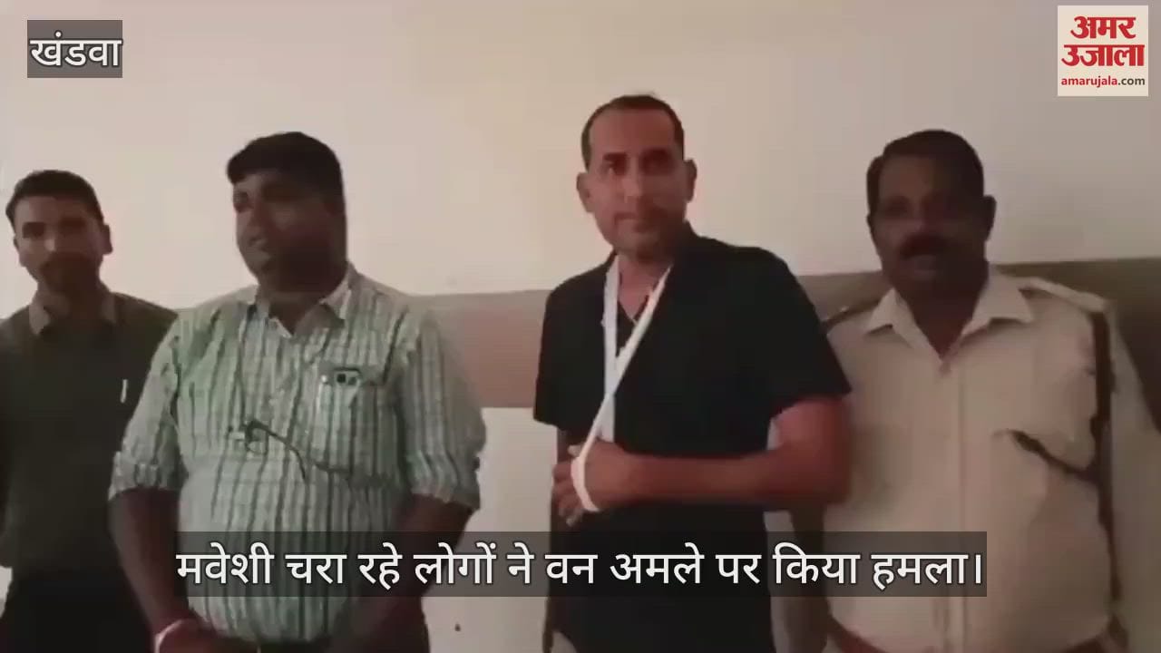 Burhanpur: People grazing cattle on plantation land attacked forest staff who went to stop them