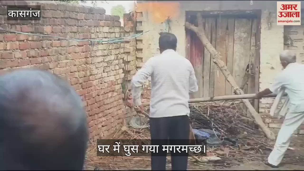 VIDEO : घर के अंदर घुसे मगरमच्छ को देखकर परिजनों के हाथ-पांव फूले, मच गया हड़कंप