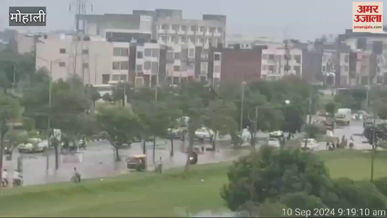 VIDEO : Rain in Mohali