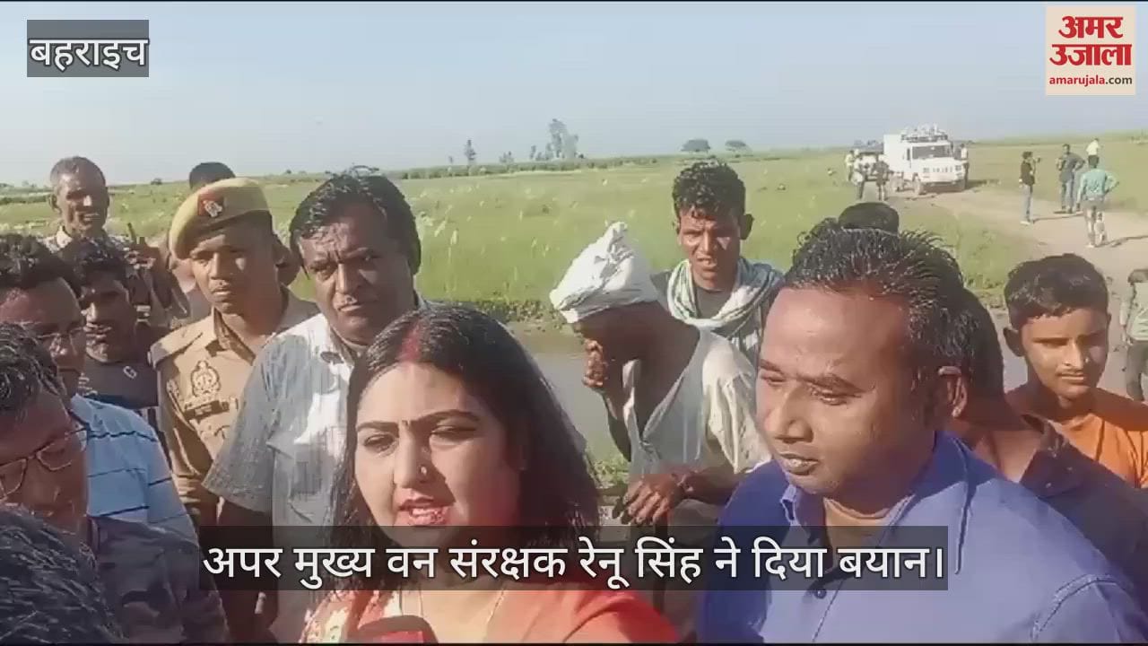 VIDEO : बहराइच: पकड़ा गया एक और भेड़िया... अब तक गिरफ्त में आए पांच भेड़िये, एक अभी भी पकड़ से दूर