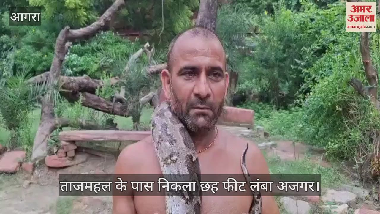 VIDEO : ताजमहल के पास दिखा छह फीट लंबा अजगर, पहलवान ने पकड़कर जंगल में छोड़ा