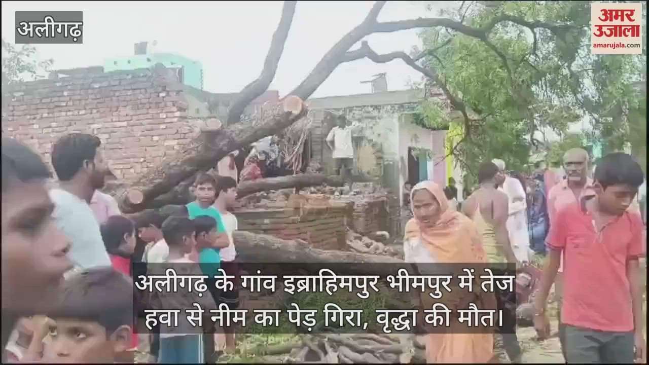 VIDEO : अलीगढ़ के गांव इब्राहिमपुर भीमपुर में तेज हवा से नीम का पेड़ गिरा, वृद्धा की मौत